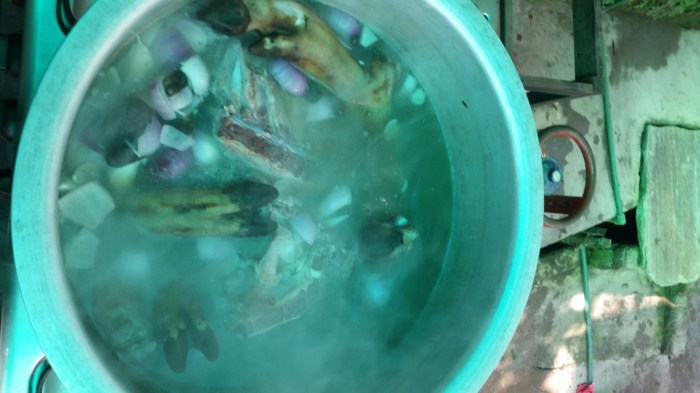 When you have a good stock not even a earthquake will ruin your dinner. This year we bougth 6 KG of Wild Boa feets and cooked the stock 6 hours. Annette made a separate stock with apples and prunes and mixed it all and reduced the 25 liters to 3-4 liter. It's maybe the best sauce I've ever tasted. Sovs 1