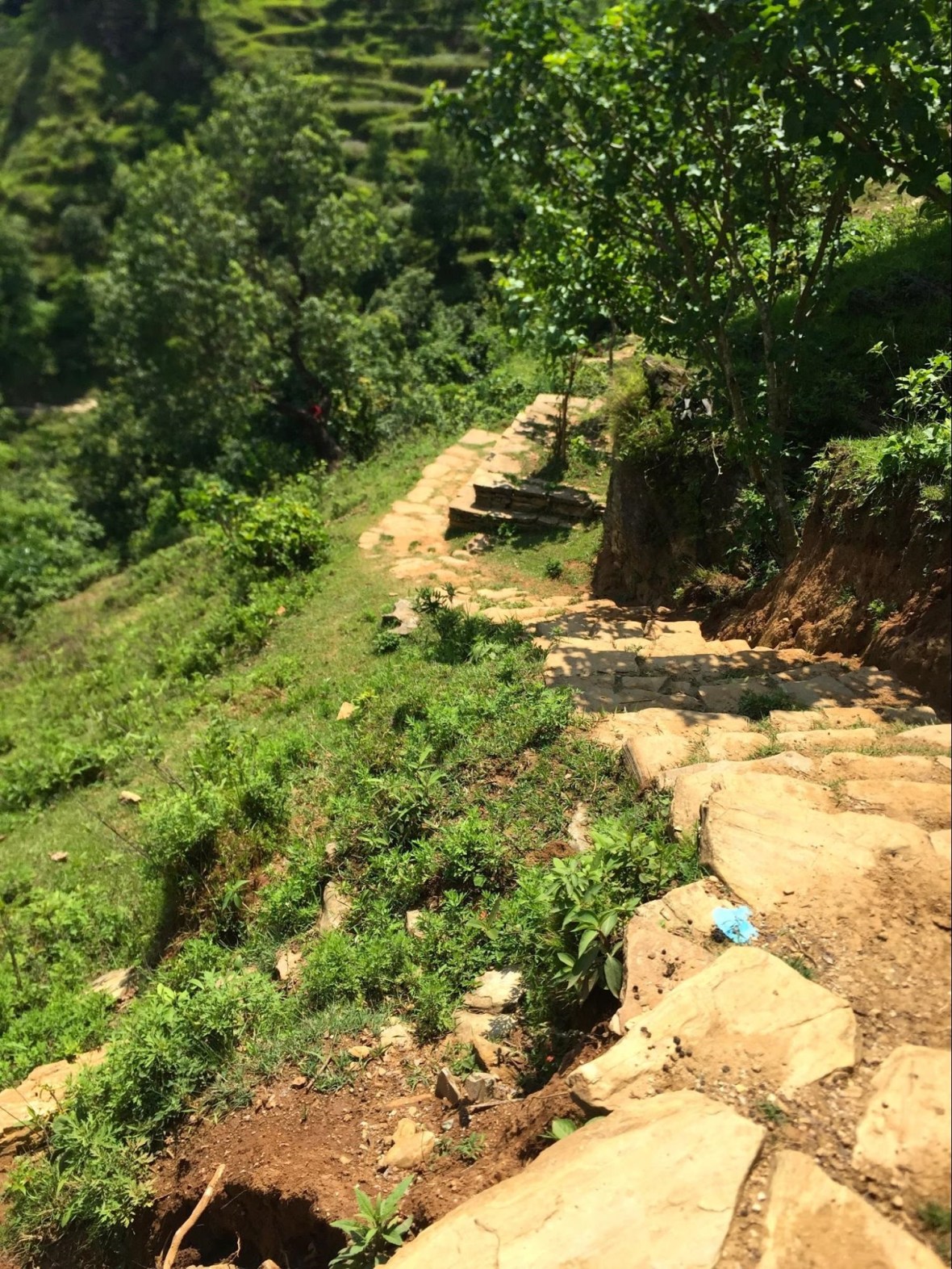 "Its only 30 minutes walk" - the guides told us. 90 minutes later we reached our destination. image02